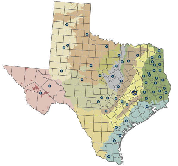 Map - State of Texas with a few reference cities and TFS Locations.