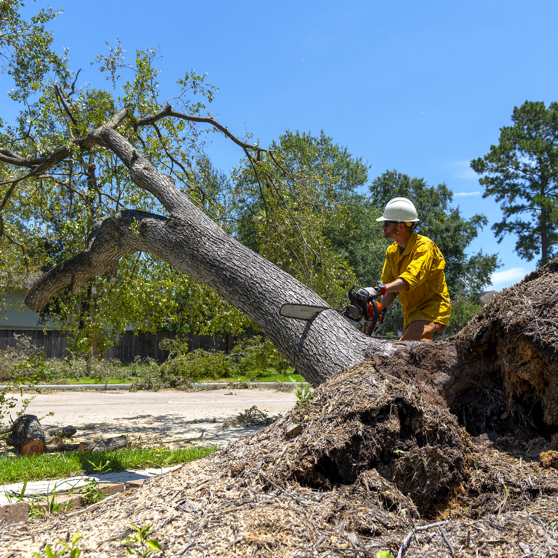 In the aftermath of Hurricane Beryl, Texas A&M Forest Service conducted an initial assessment of the storm