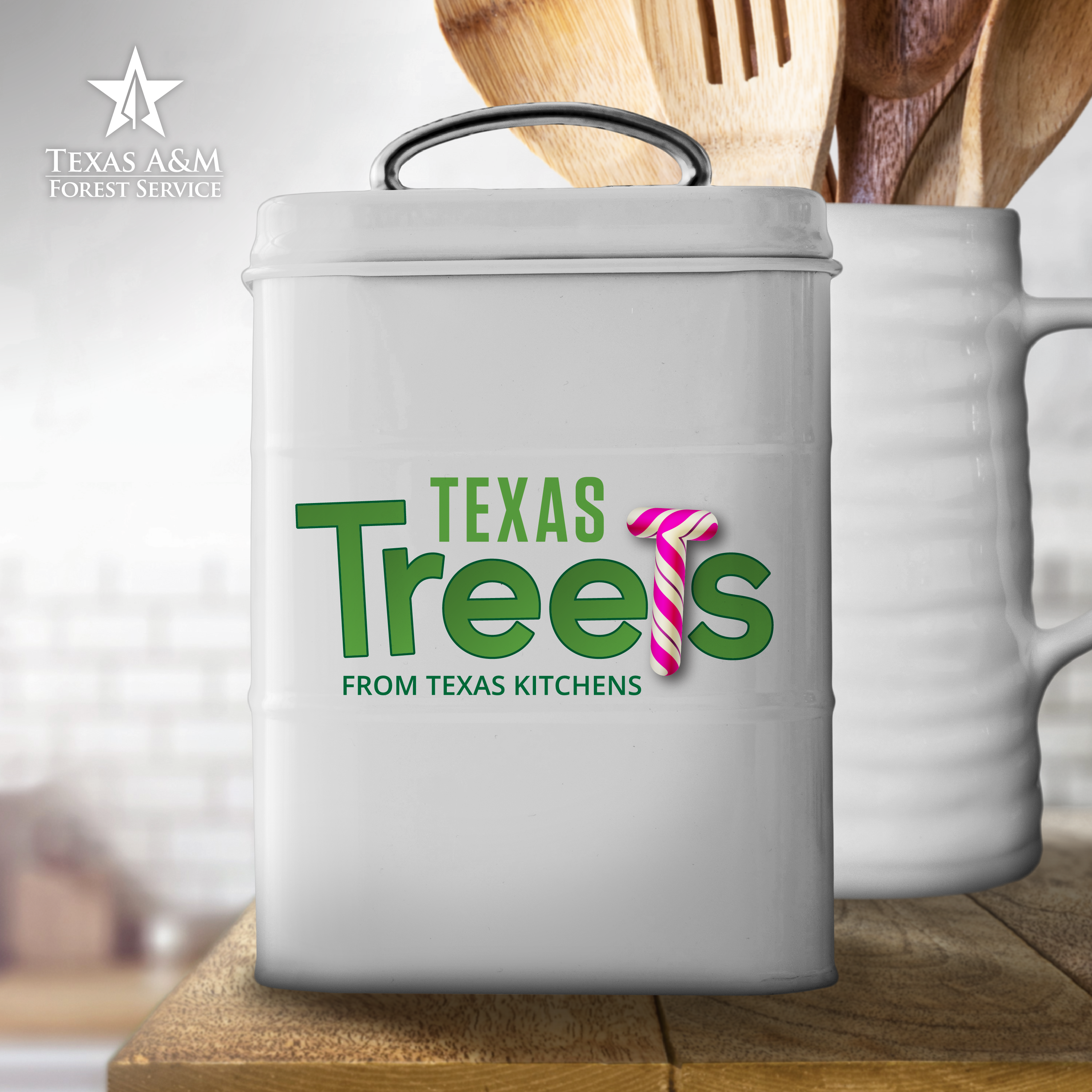 The holidays are full of many memories, smells, and flavors. Explore fun holiday recipes that incorporate tree products ingredients. <br />