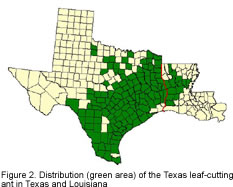 A map of Texas showing Distribution areas A map of Texas showing Distribution areas