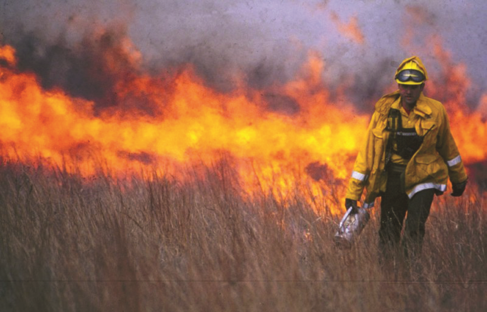 Prescribed burn being completed in tall grass
