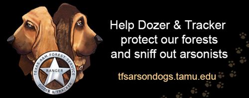 Picture of the TFS Arson Dogs; Dozer & Tracker