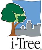 iTree