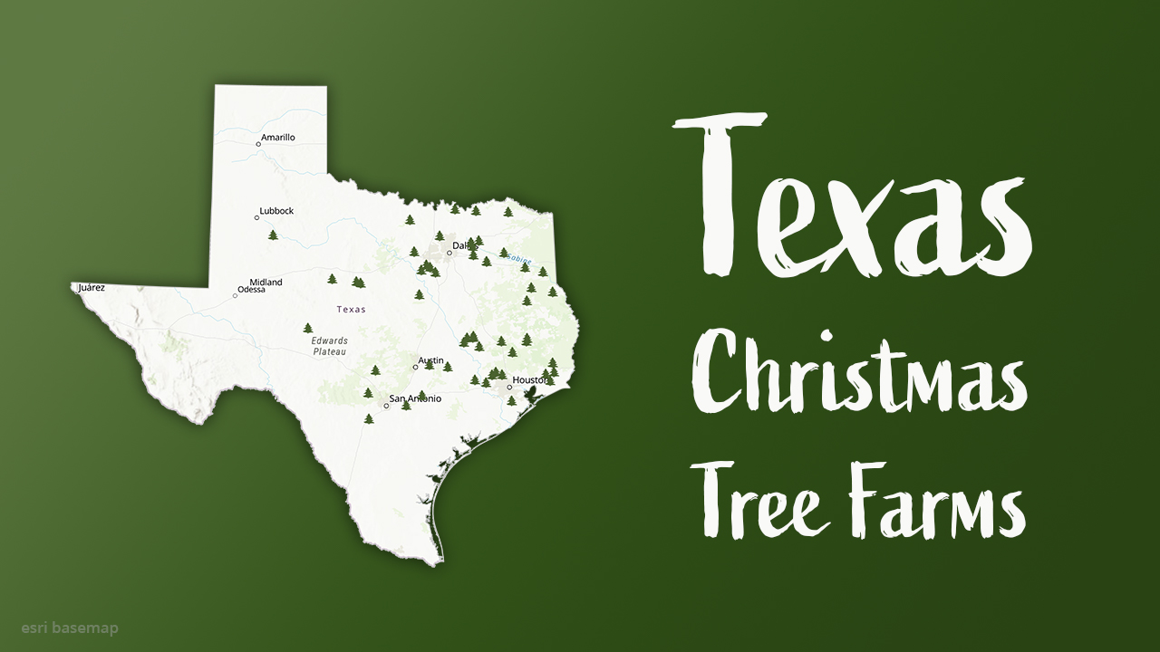 Christmas Tree Farms, 2020 Christmas Tree Farms, 2020