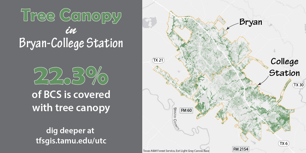 Urban Tree Canopy of Bryan-College Station