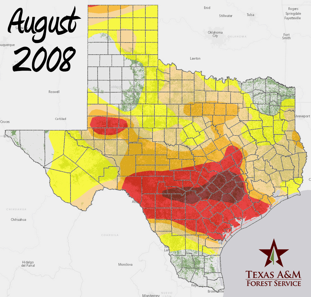 Forest Drought 2008-2017