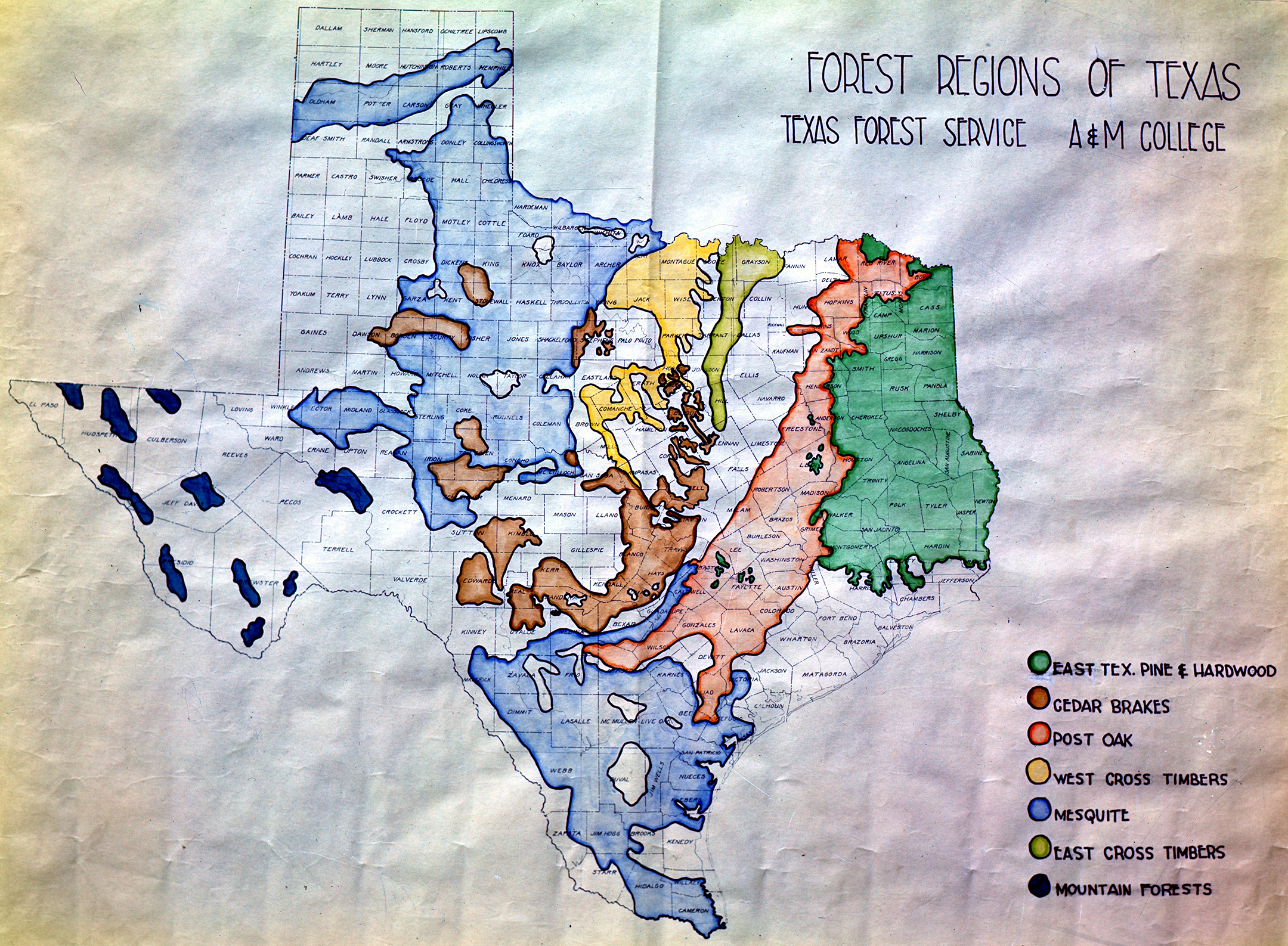 Forest Regions of Texas, 1947 Forest Regions of Texas, 1947