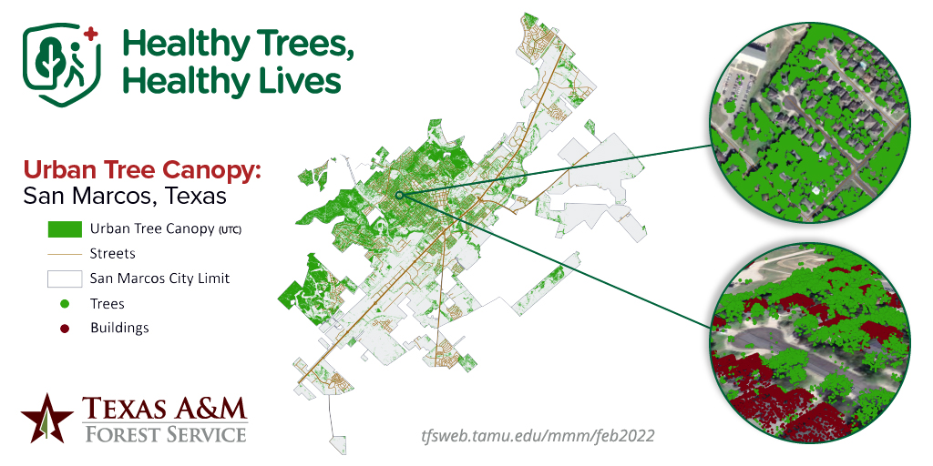 Healthy Trees, Healthy Lives - Urban Tree Canopy (twitter) Healthy Trees, Healthy Lives - Urban Tree Canopy (twitter)