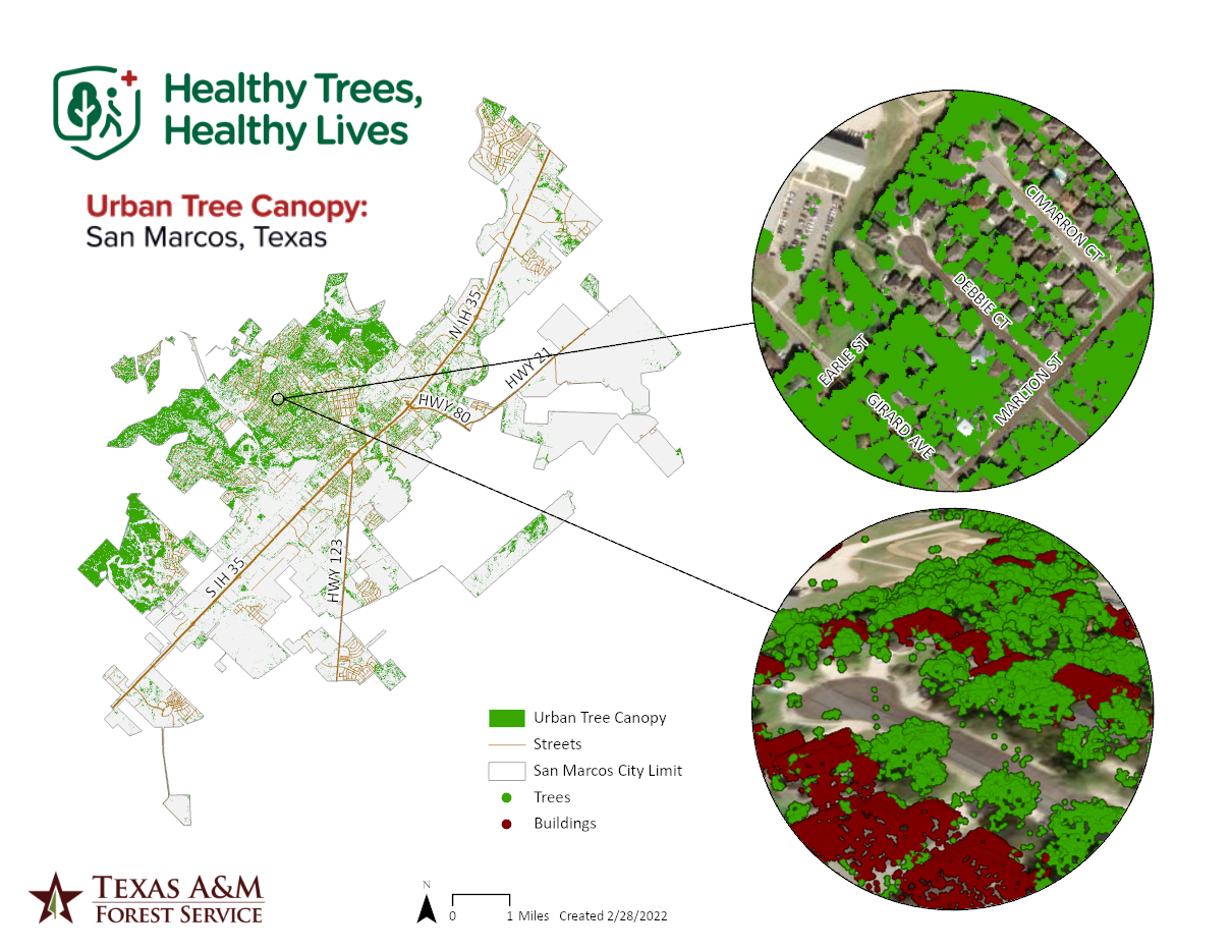 Healthy Trees, Healthy Lives - Urban Tree Canopy (jpg) Healthy Trees, Healthy Lives - Urban Tree Canopy (jpg)