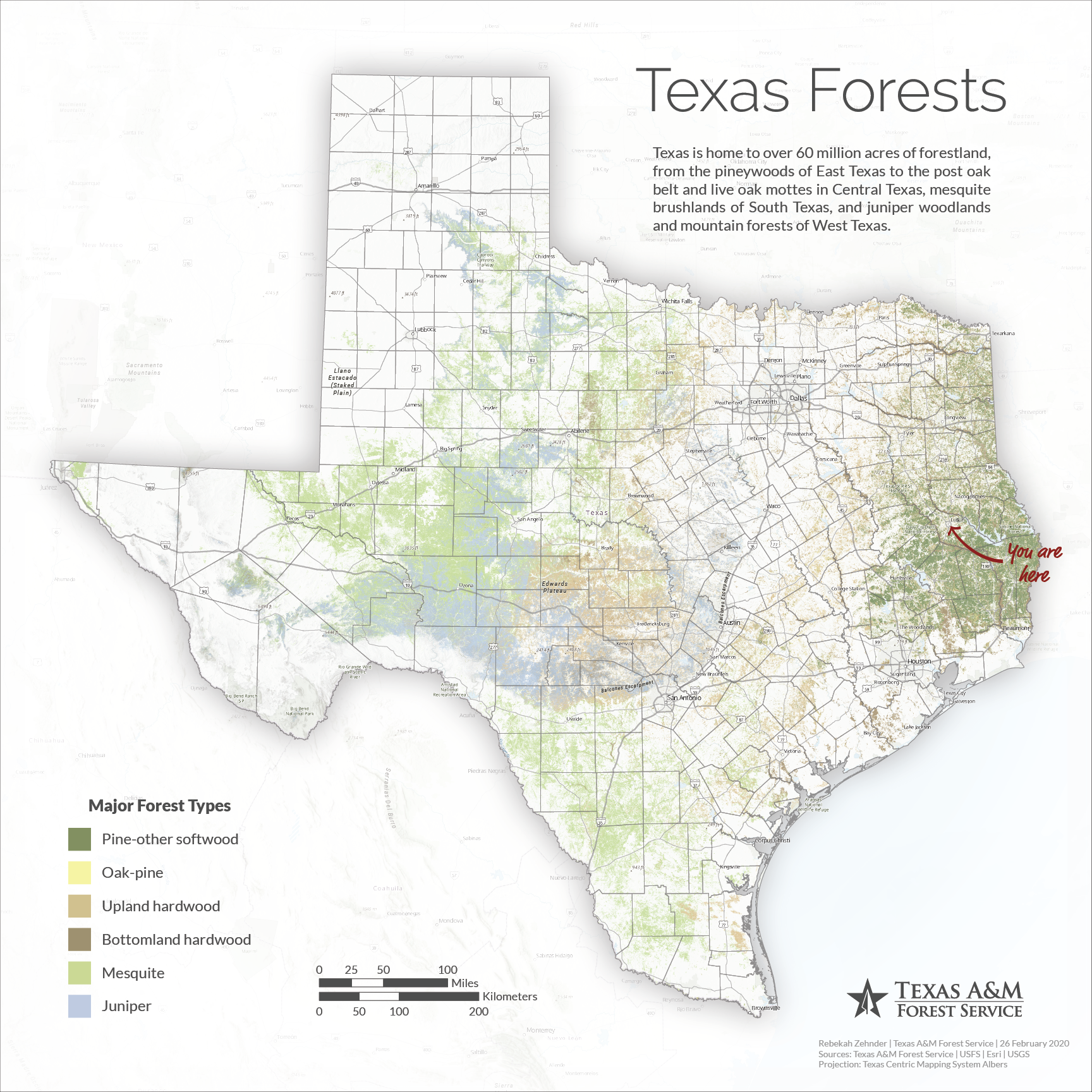 Texas Forests Texas Forests