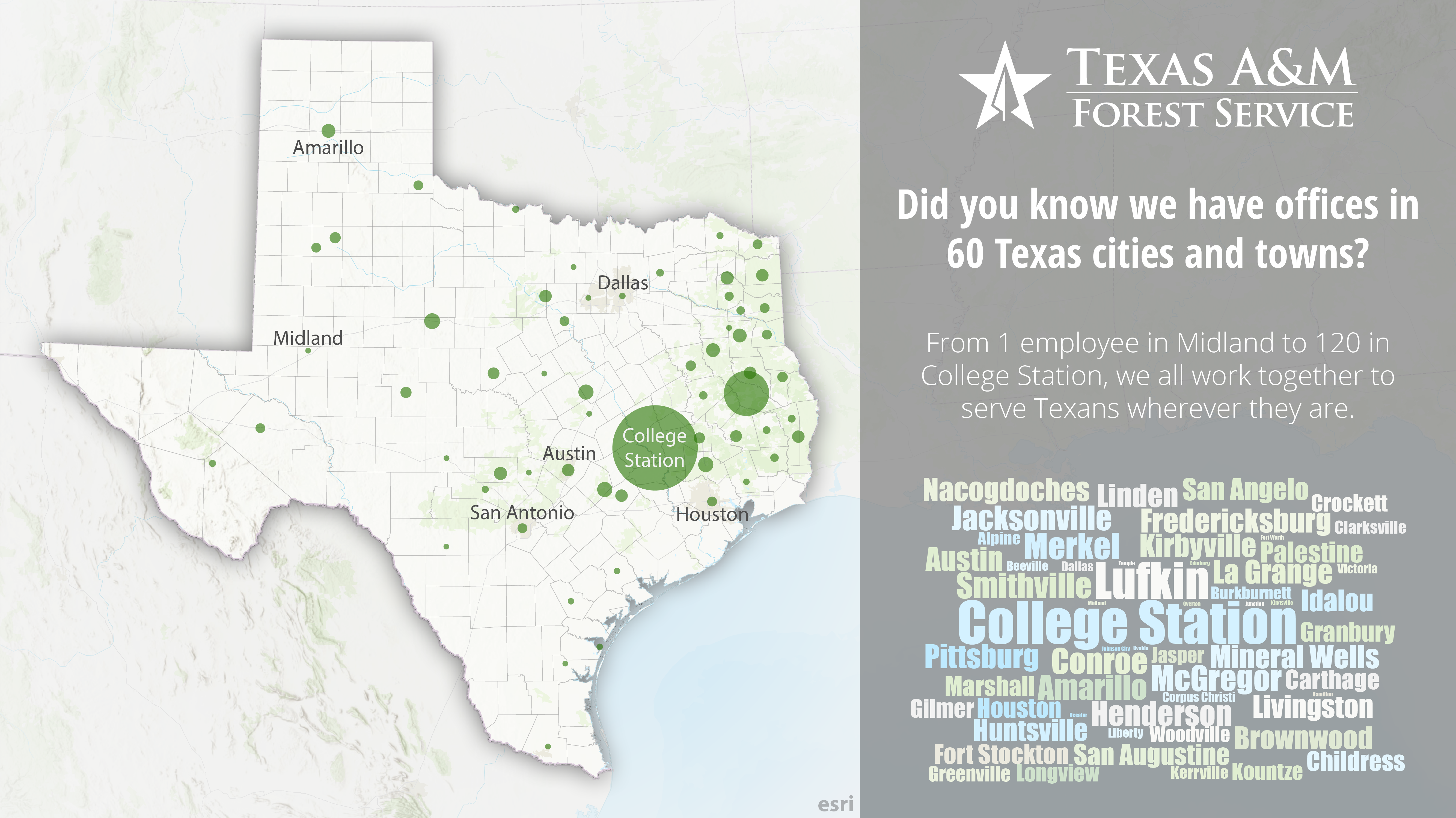 TFS Office Locations TFS Office Locations