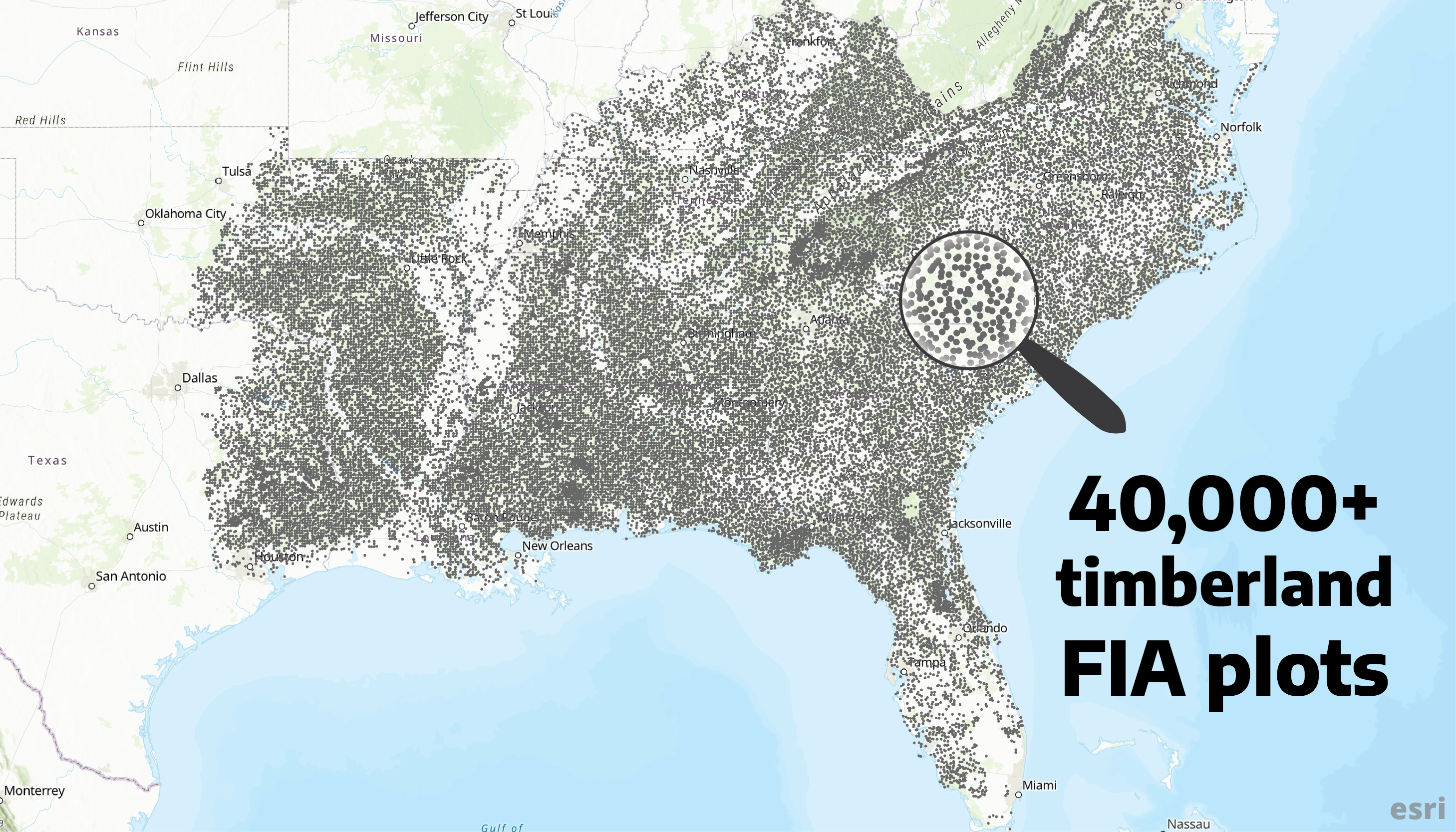 Southern Timber Supply - FIA plots