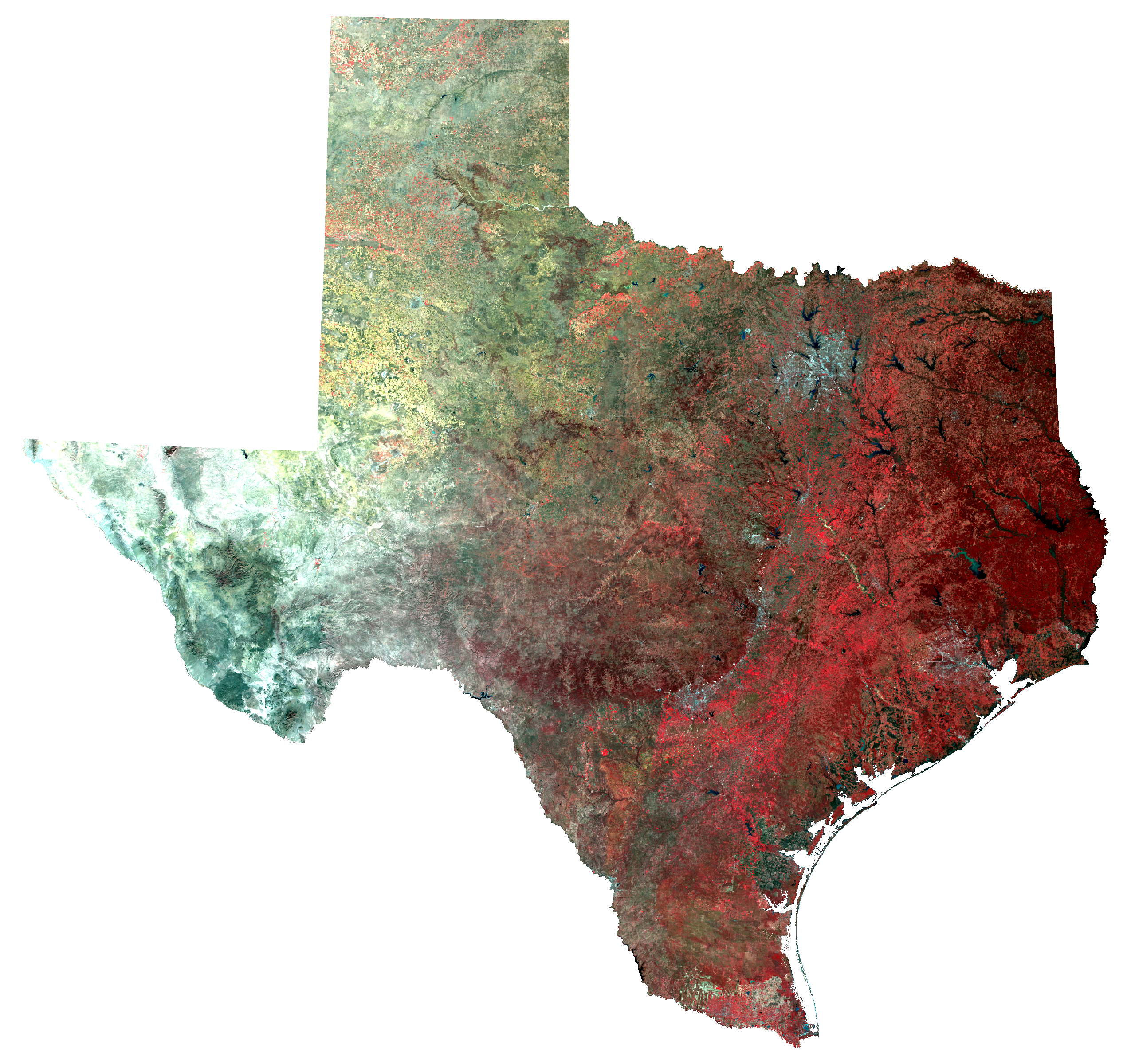 Texas in Winter - False Color