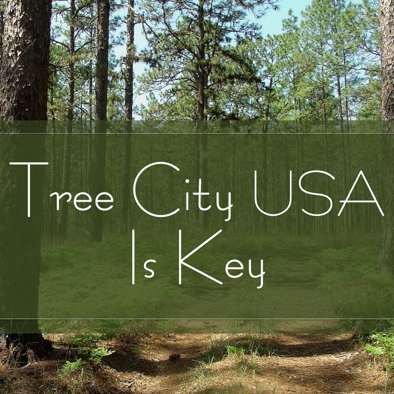 green trees and dark green banner title slide that says Tree City USA Is Key