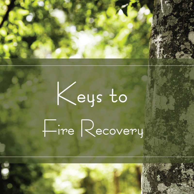 FireRecovery FireRecovery
