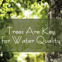 TAK for Water Quality TAK for Water Quality
