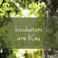 Incubators Are Key Incubators Are Key