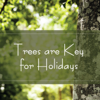 TAK 282_Holidays