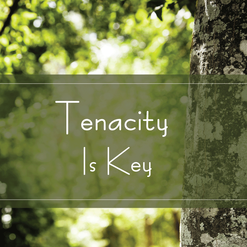 TenacityIsKey TenacityIsKey