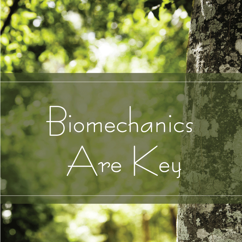 biomechanics