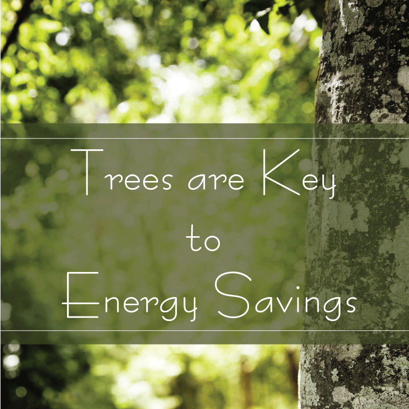 energy savings