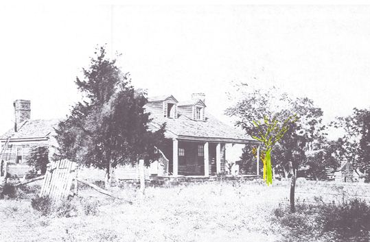 Parker Oaks historic